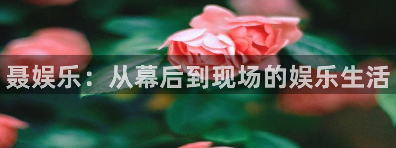 华润娱乐注册链接